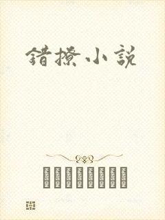 错撩小说