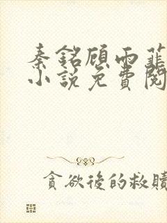 秦铭顾雨菲官场小说免费阅读