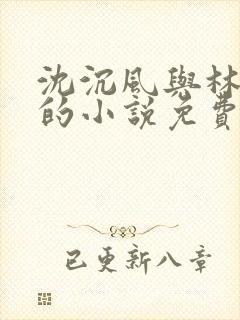 沈沉风与林婉儿的小说免费阅读全文