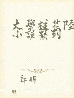 大学校花陆冰嫣小说系列