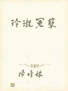玲珑冤孽