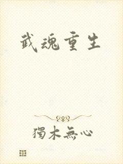 武魂重生封面