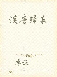 汉唐归来