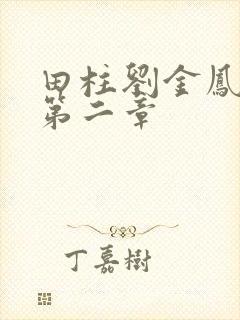 田柱刘金凤小说第二章