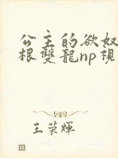 公主的欲奴h四根双龙np视频