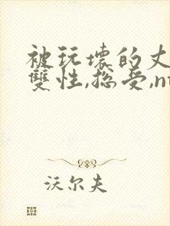 被玩坏的丈夫(双性,总受,ntr