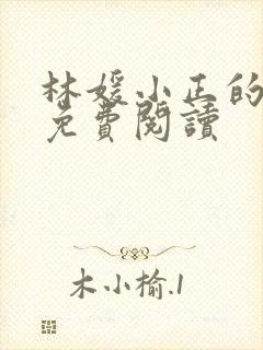 林媛小正的小说免费阅读