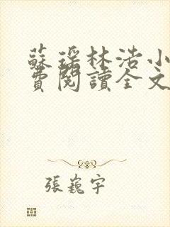 苏瑶林浩小说免费阅读全文最新章节封面