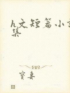 h文短篇小说合集