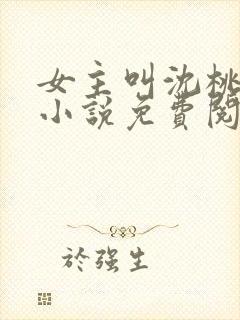 女主叫沈桃桃的小说免费阅读