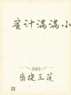 蜜汁满满小说