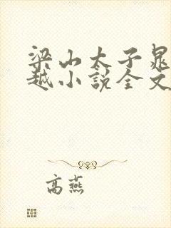 梁山太子晁云穿越小说全文阅读封面