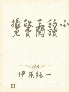 摄政王的小奶娘免费阅读