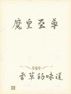 魔皇至尊