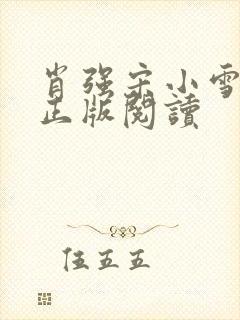 肖强宋小雪小说正版阅读封面