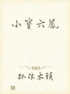 小宝六凤