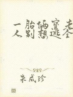 一胎俩宝老婆大人别想逃全文