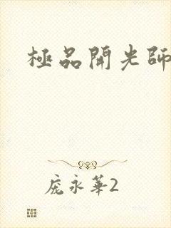 极品开光师