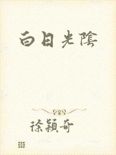 白日光阴封面