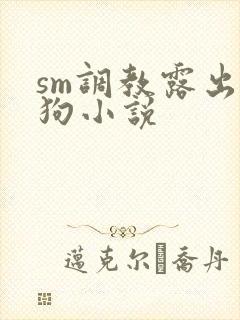 sm调教露出母狗小说