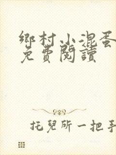 乡村小混蛋小说免费阅读
