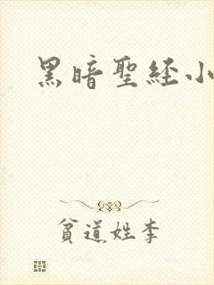 黑暗圣经小说