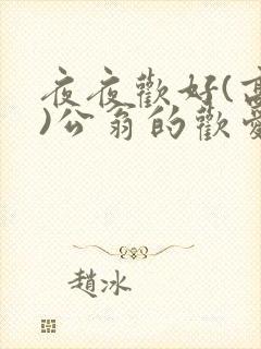 夜夜欢好(高h)公翁的欢爱封面