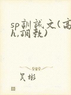 sp训诫文(高h,调教)