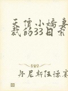 天价小娇妻,总裁的33日索情全文免费封面