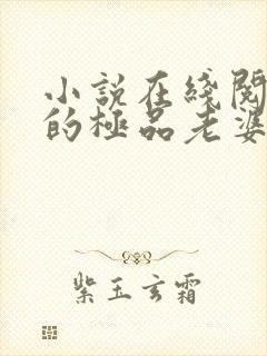 小说在线阅读我的极品老婆