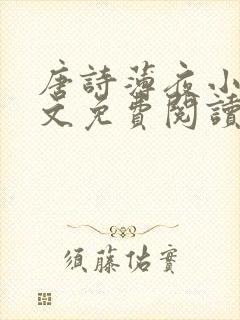 唐诗薄夜小说全文免费阅读封面