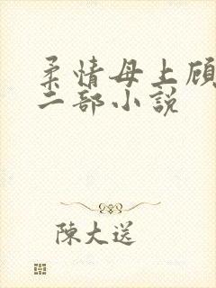 柔情母上顾为第二部小说