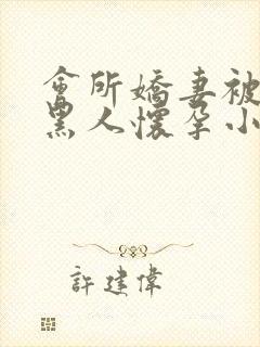 会所娇妻被多个黑人怀孕小说封面