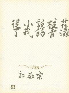 从小说校花别追了我的青涩同桌又软又甜小说封面
