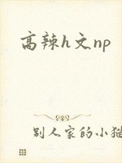 高辣h文np封面