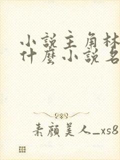 小说主角林羽是什么小说名
