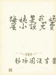 梅姨是我妈妈闺蜜小说免费阅读最新