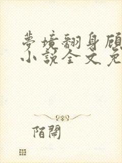 梦境翻身顾景宸小说全文免费阅读封面