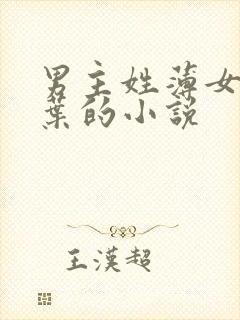 男主姓薄女主姓叶的小说