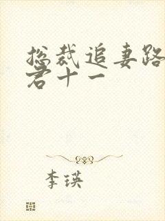 总裁追妻路漫漫君十一