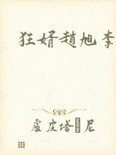 狂婿赵旭李晴晴封面