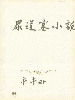 尿道塞小说封面