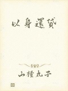 以身还贷封面
