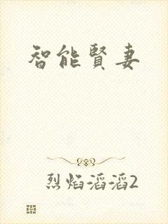 智能贤妻