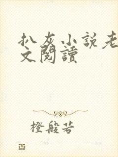 扒灰小说老马全文阅读封面
