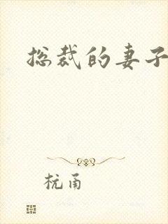 总裁的妻子