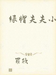 绿帽夫夫小说