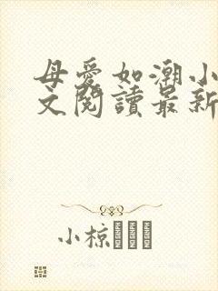 母爱如潮小说全文阅读最新章节更新封面