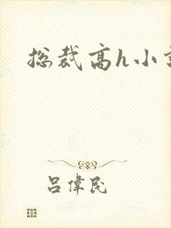总裁高h小说