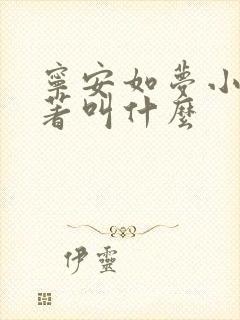 宁安如梦小说原著叫什么封面